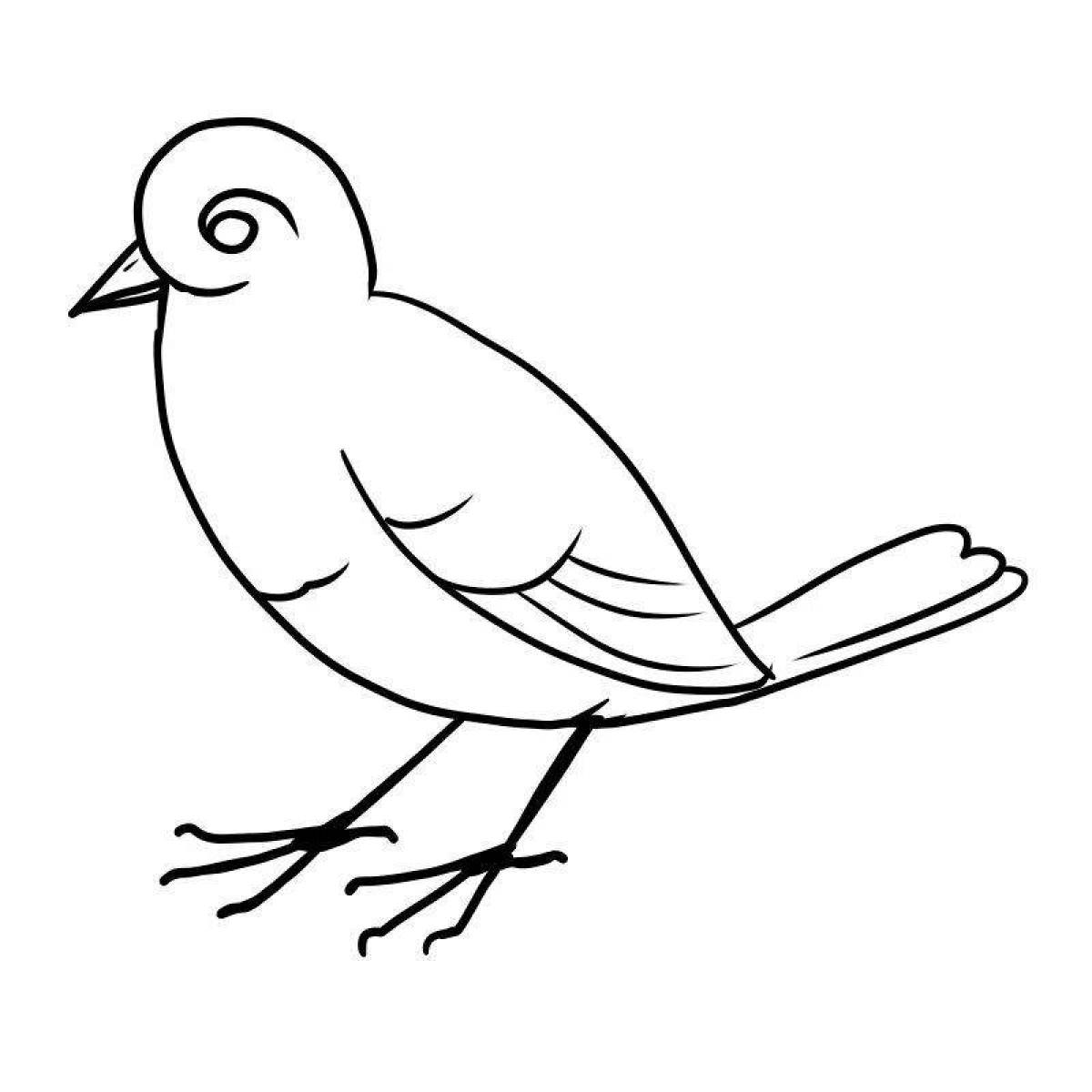 Exquisite sparrow coloring book for 3-4 year olds