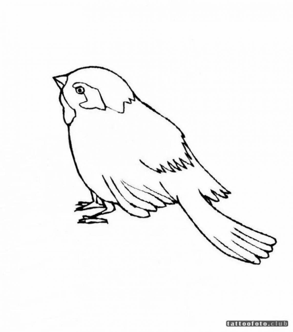 Coloring book dazzling sparrow for children 3-4 years old