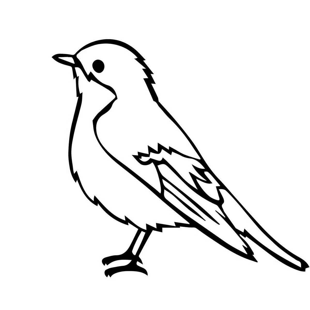 Sparrow coloring book for 3-4 year olds