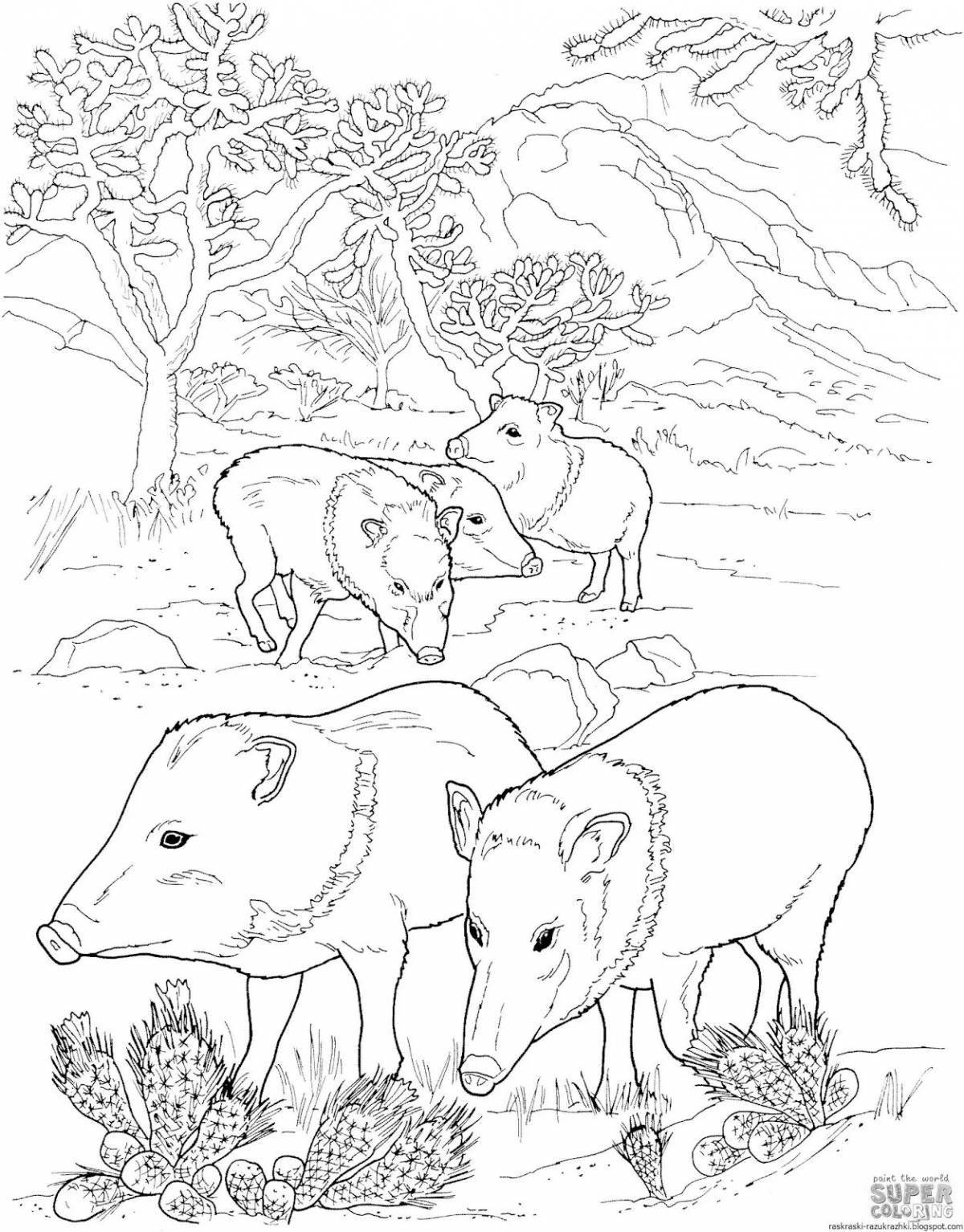 Wonderful wild animal and baby coloring book
