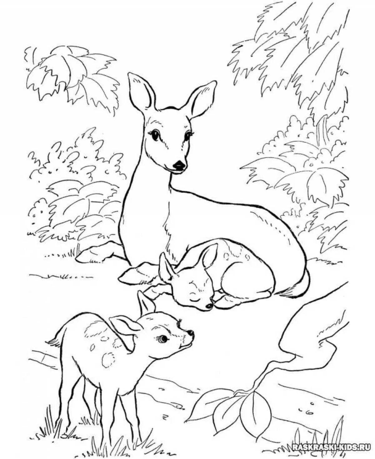 Live coloring of wild animals and babies