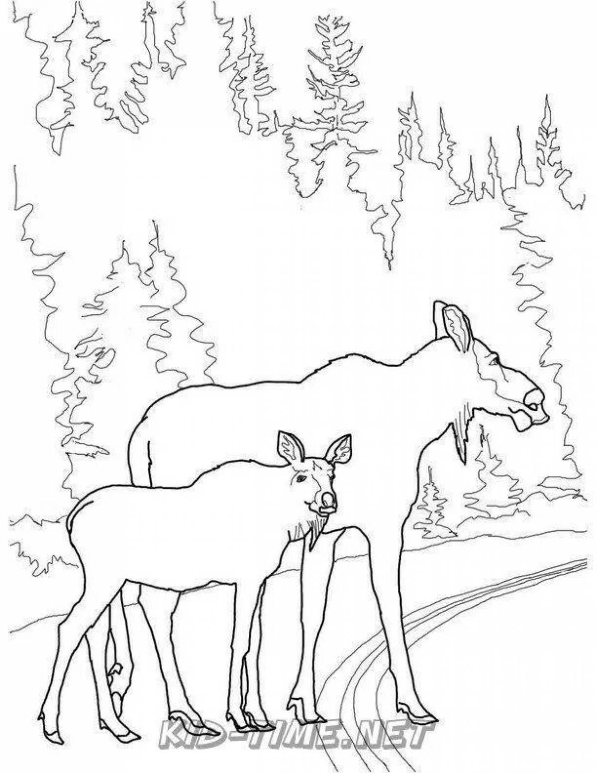 Funny wild animal and baby coloring page