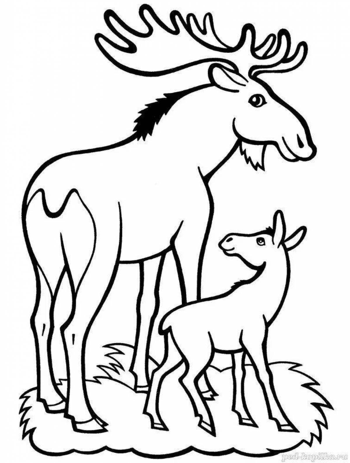 Coloring page cute wild animal and baby