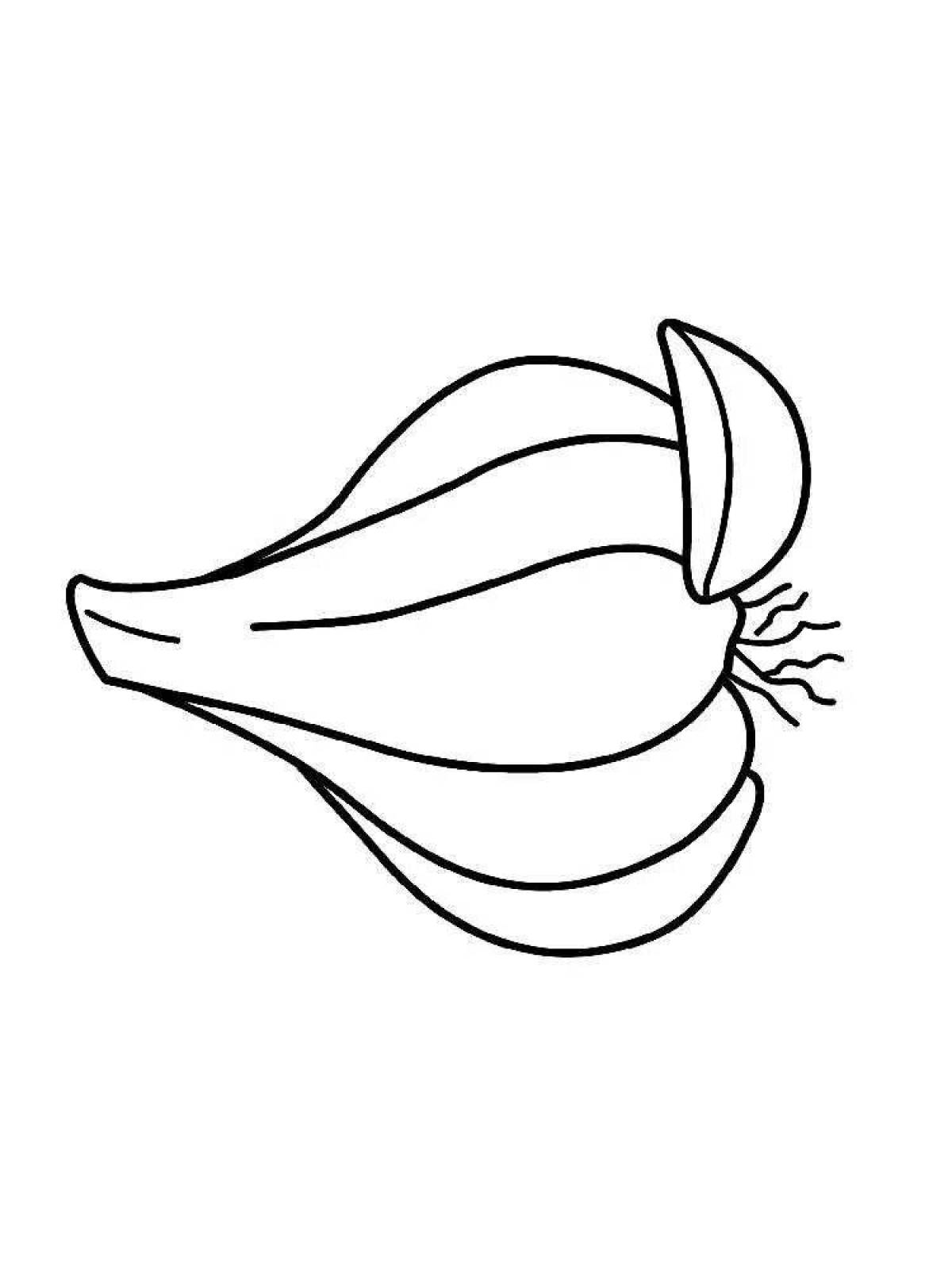 Delicious garlic coloring book