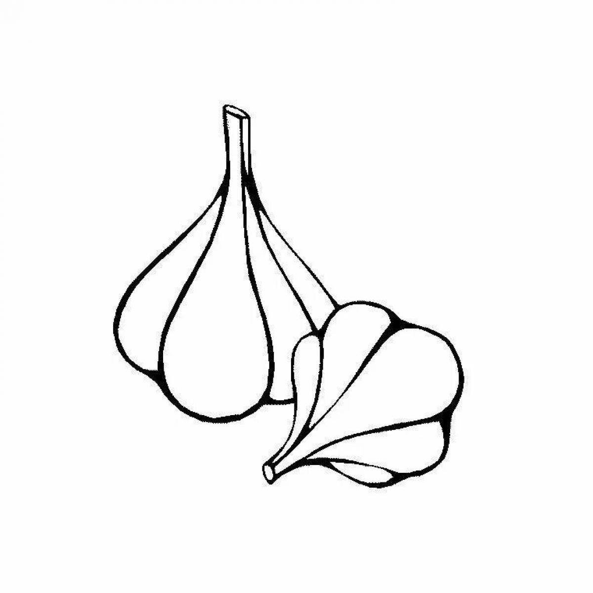 Раскраска изящный чеснок