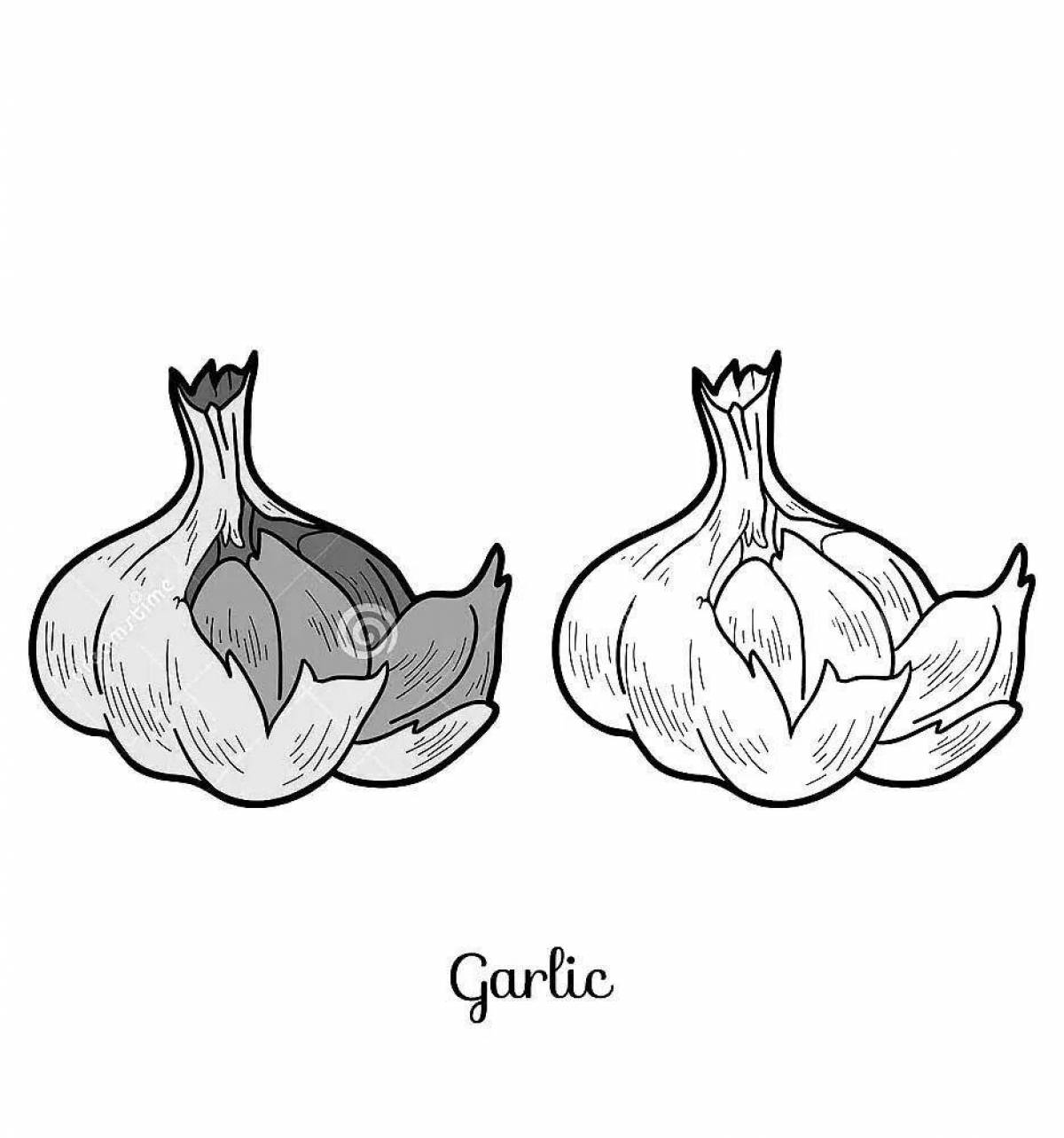 Garlic #3