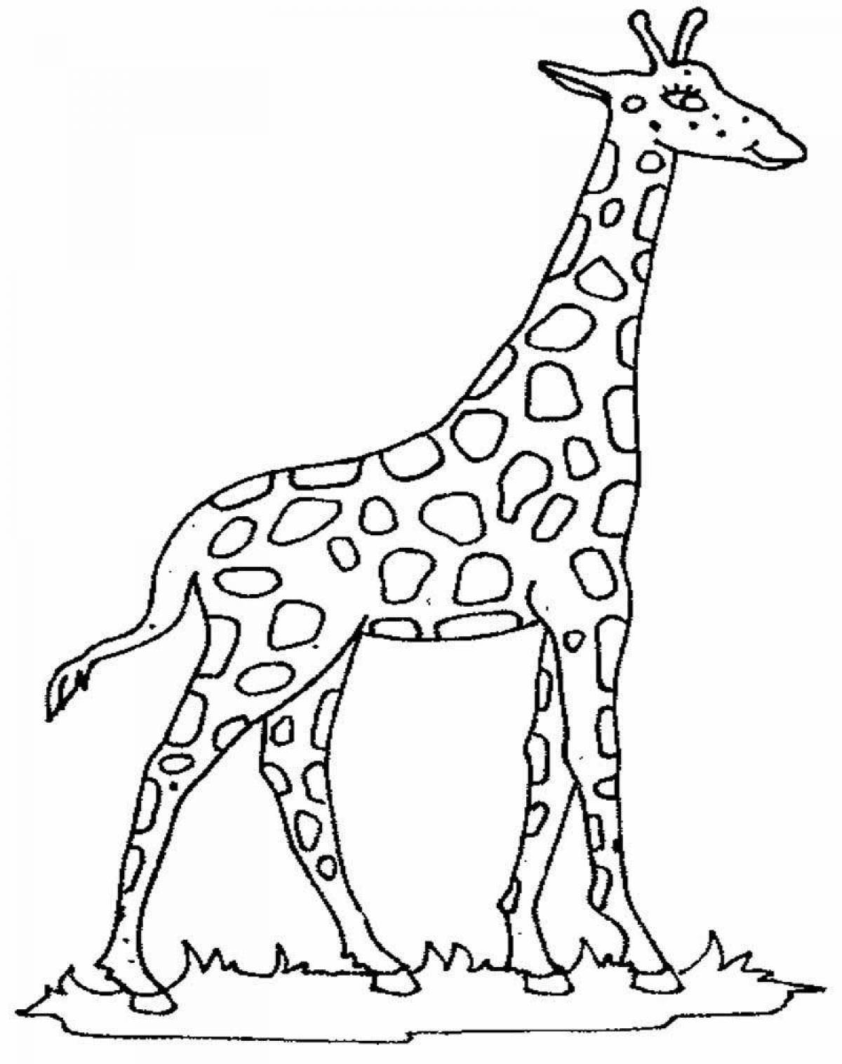 Раскраска величественный жираф