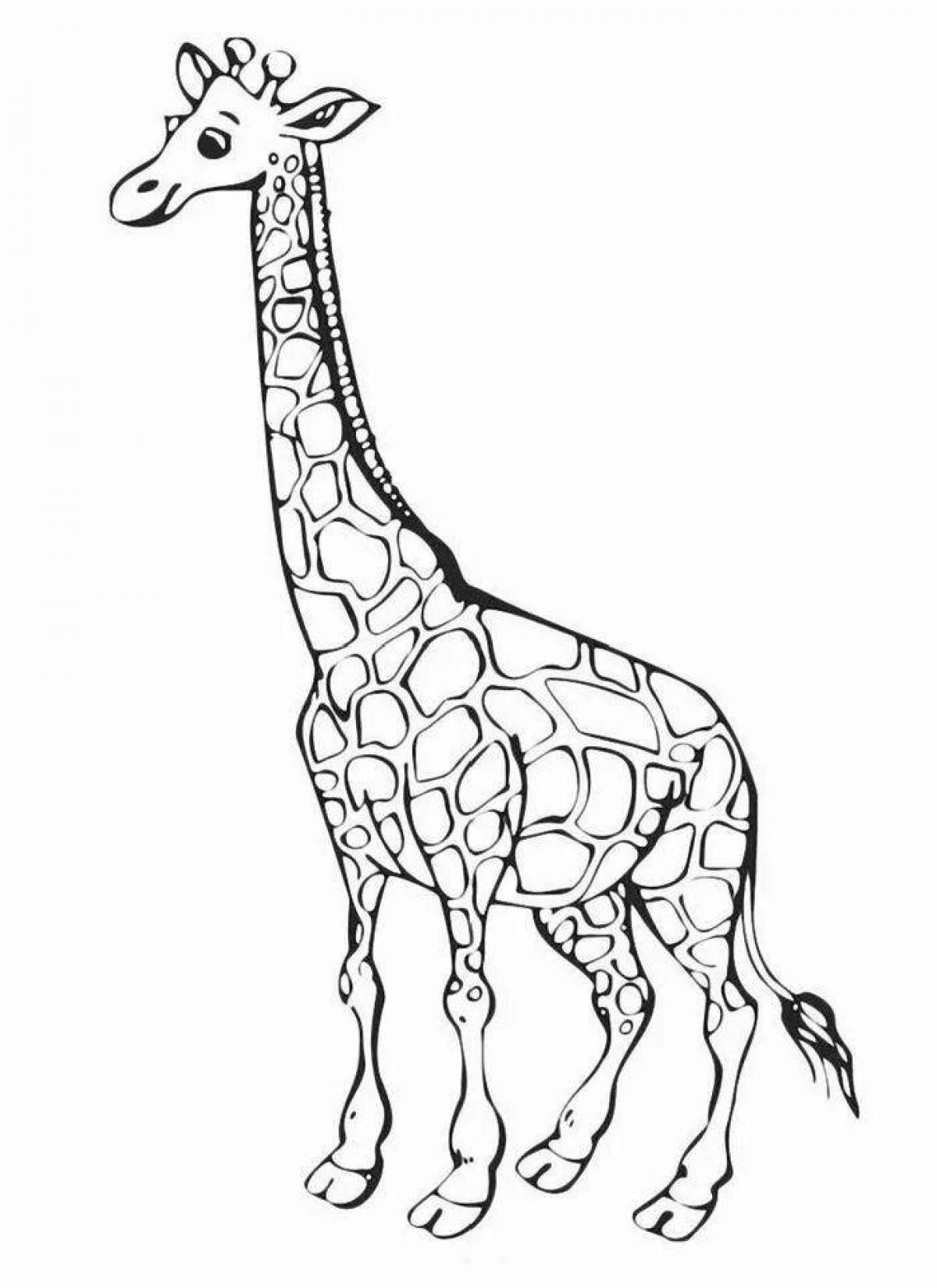 Coloring giraffe