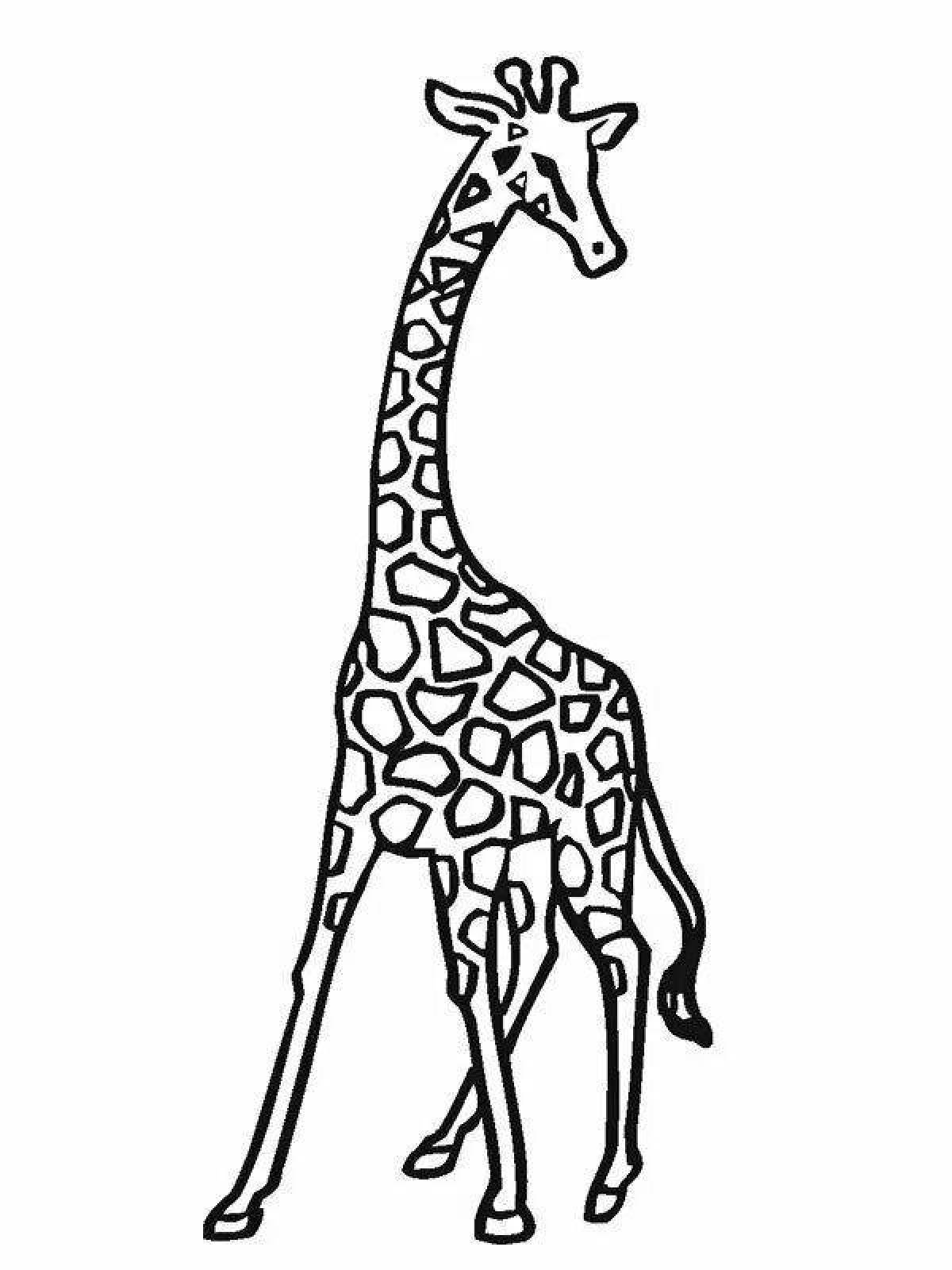 Контур жирафа для рисования