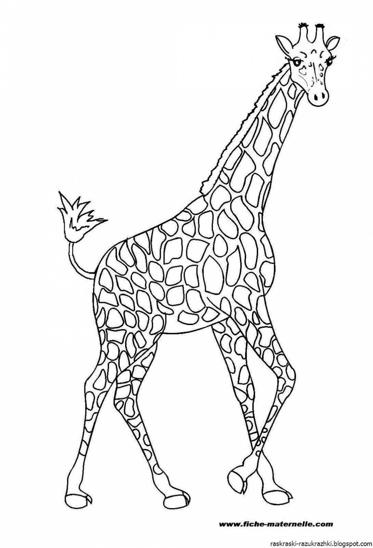 Очаровательная раскраска жираф