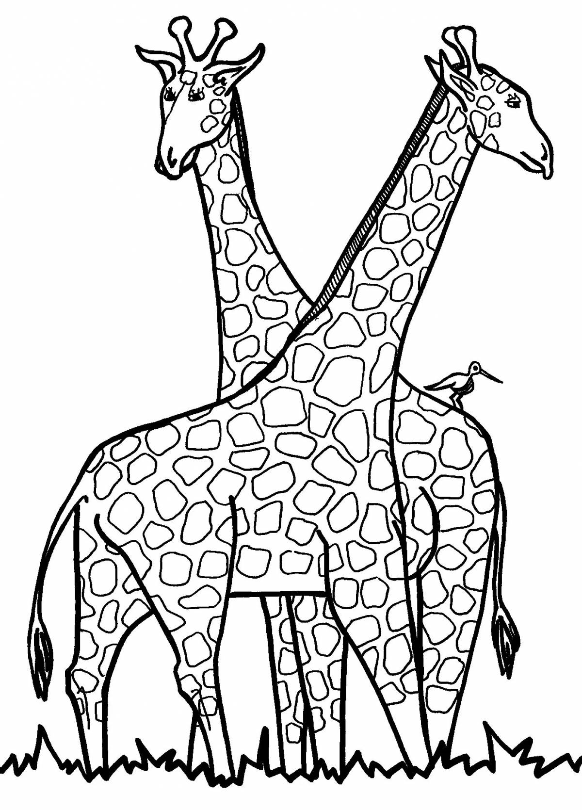 Волнующая раскраска жираф