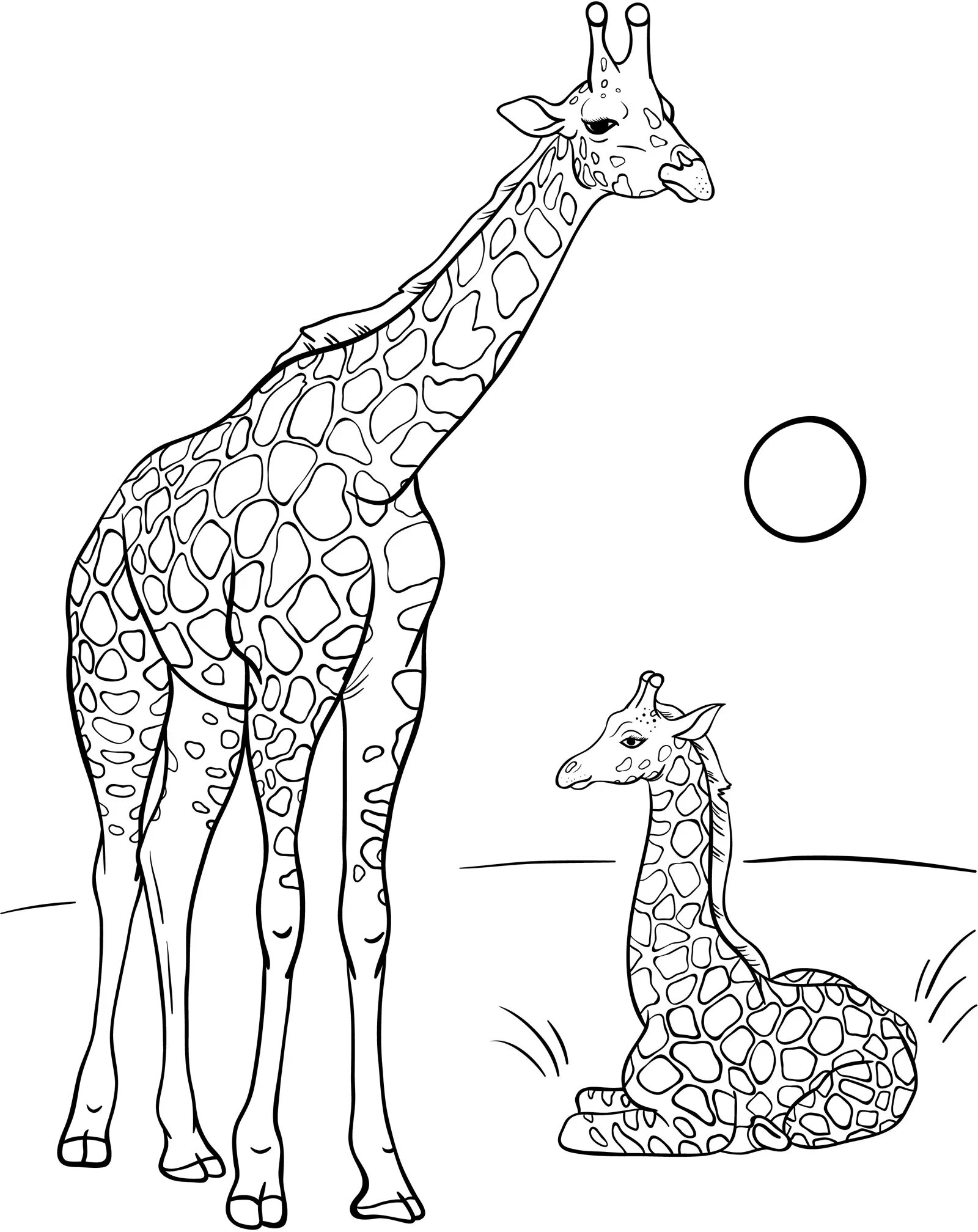 Раскраска жираф во время игры