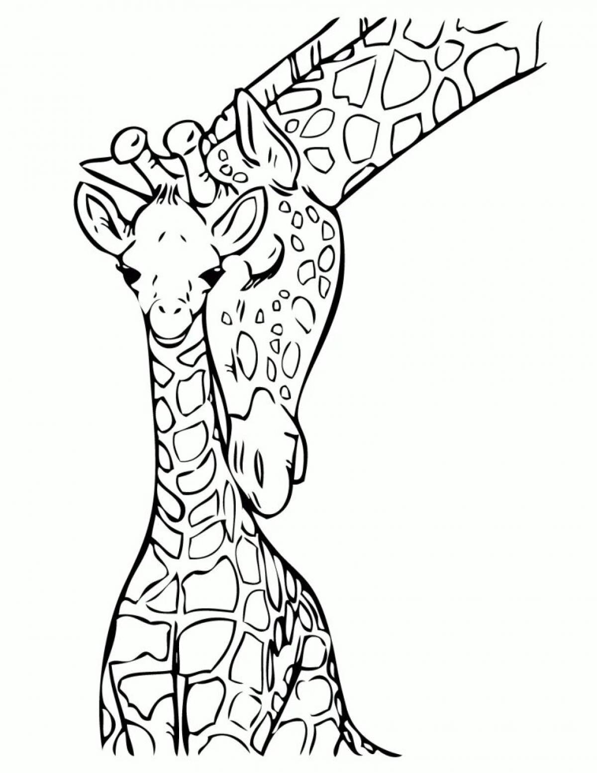 Picture giraffe #2