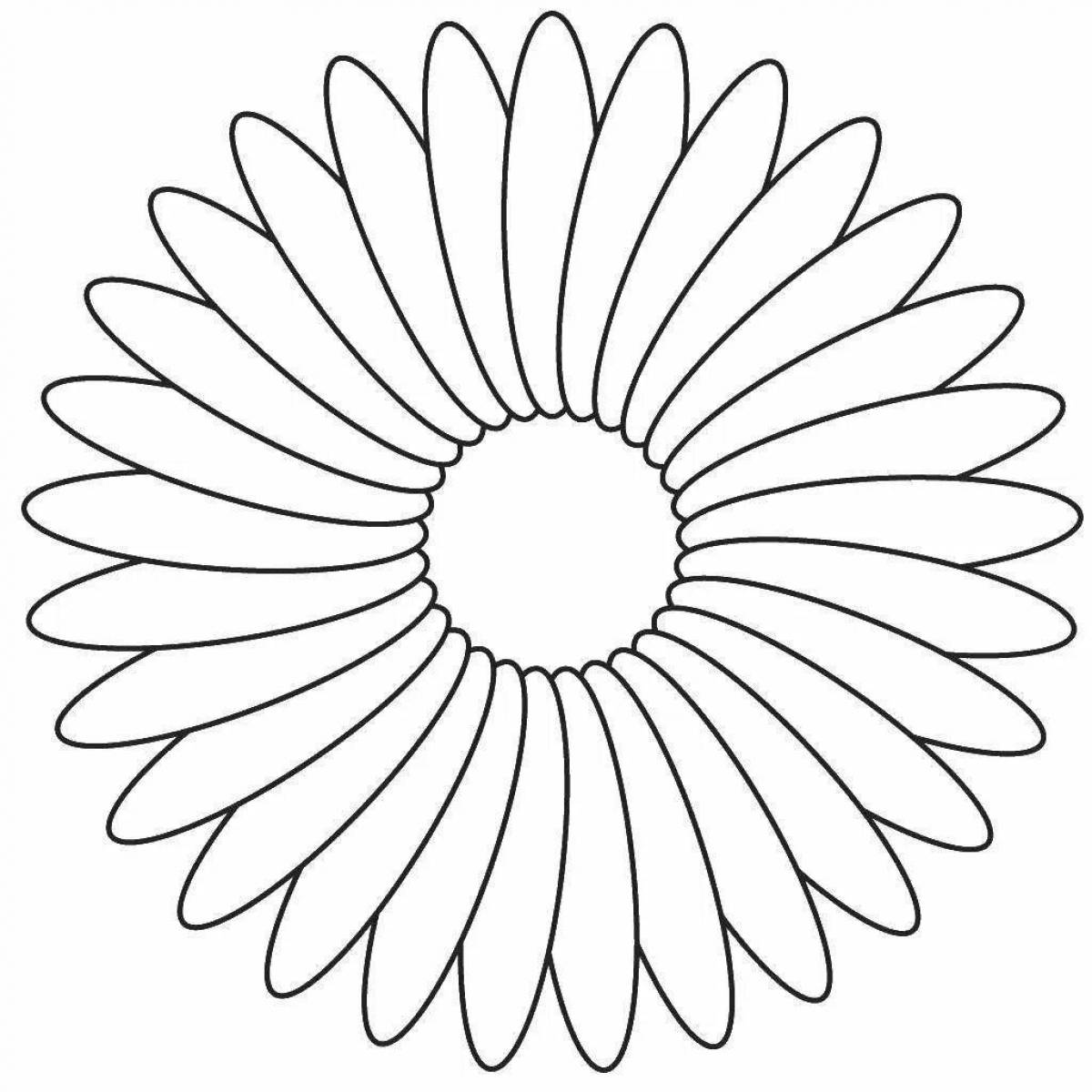 Coloring book bright chamomile flower