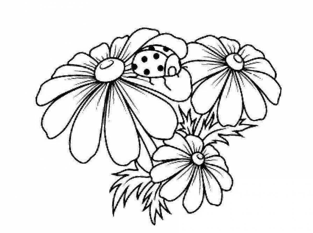 Coloring book joyful chamomile flower