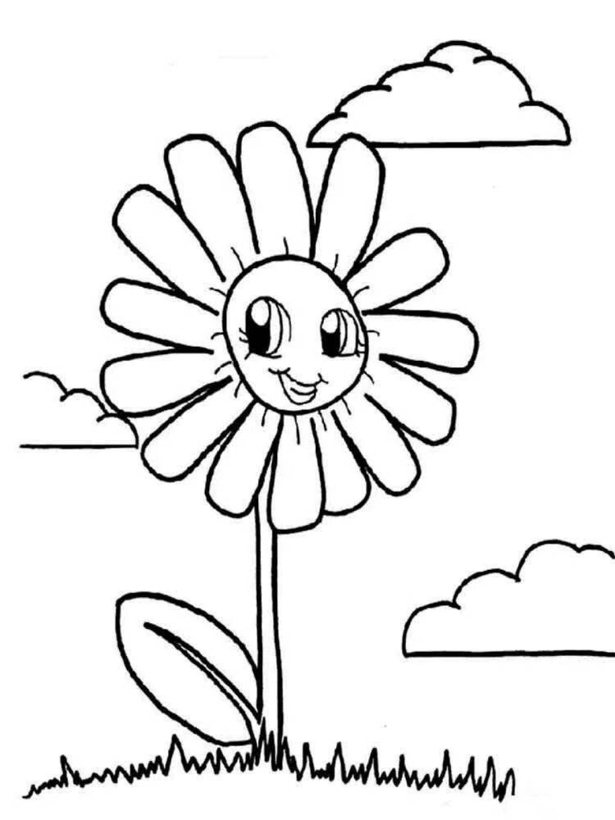 Coloring book shining chamomile flower