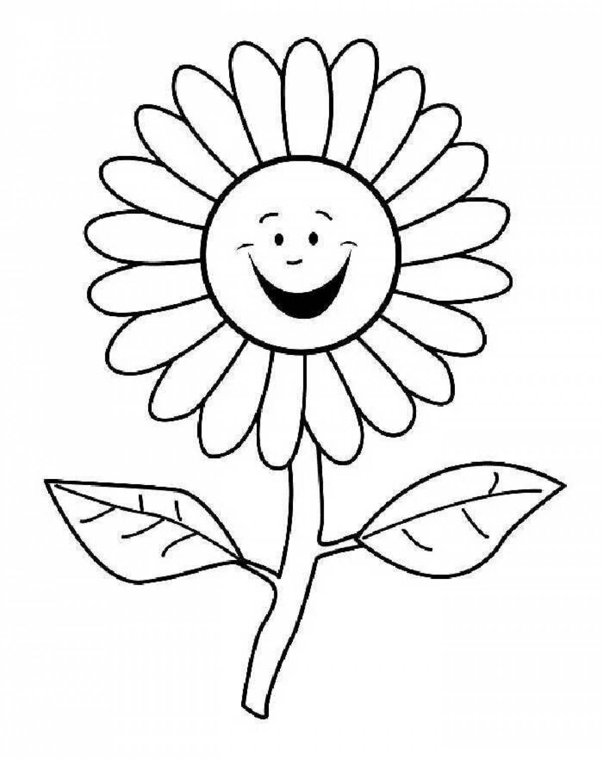 Colouring sunny chamomile flower