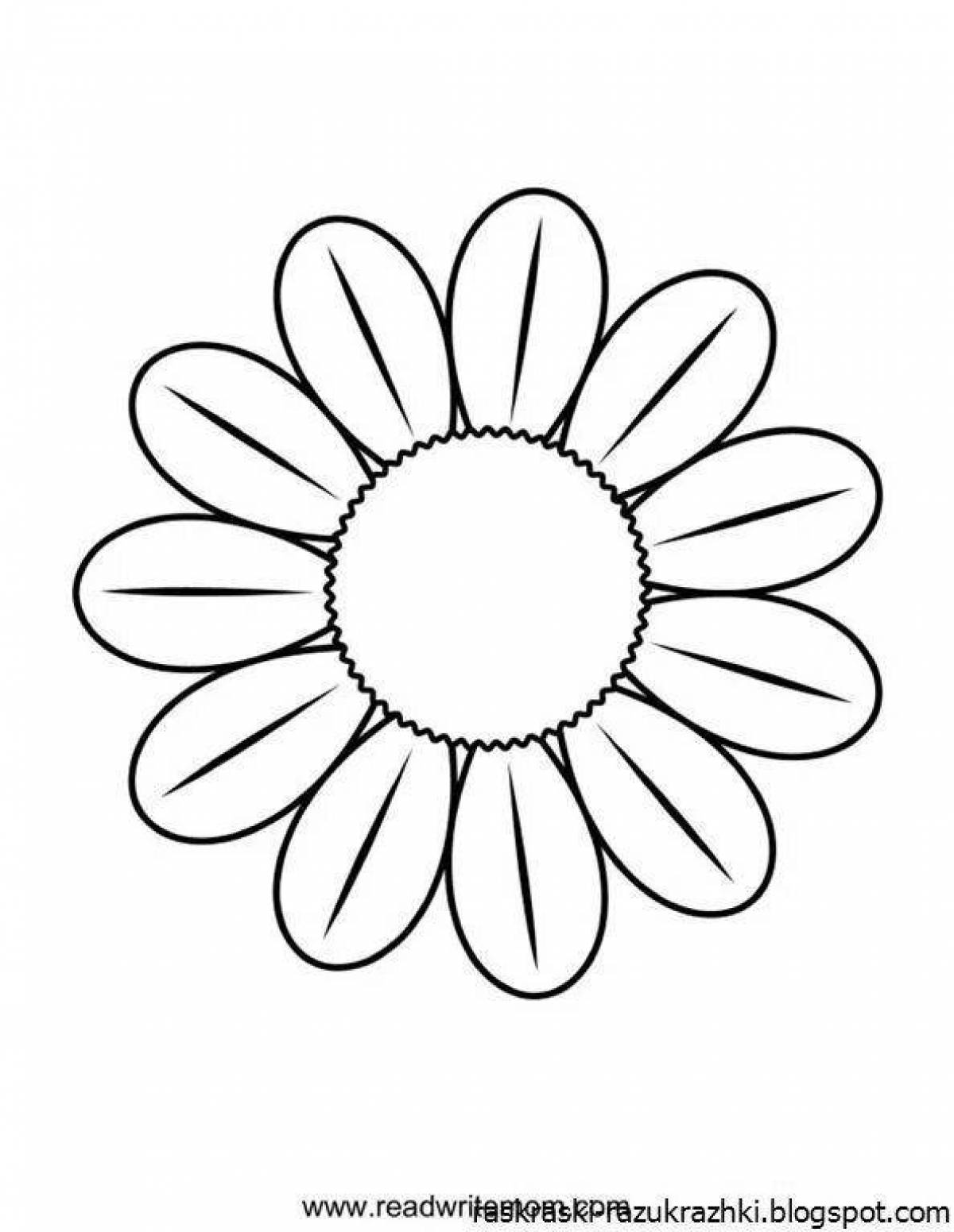 Coloring page charming chamomile flower