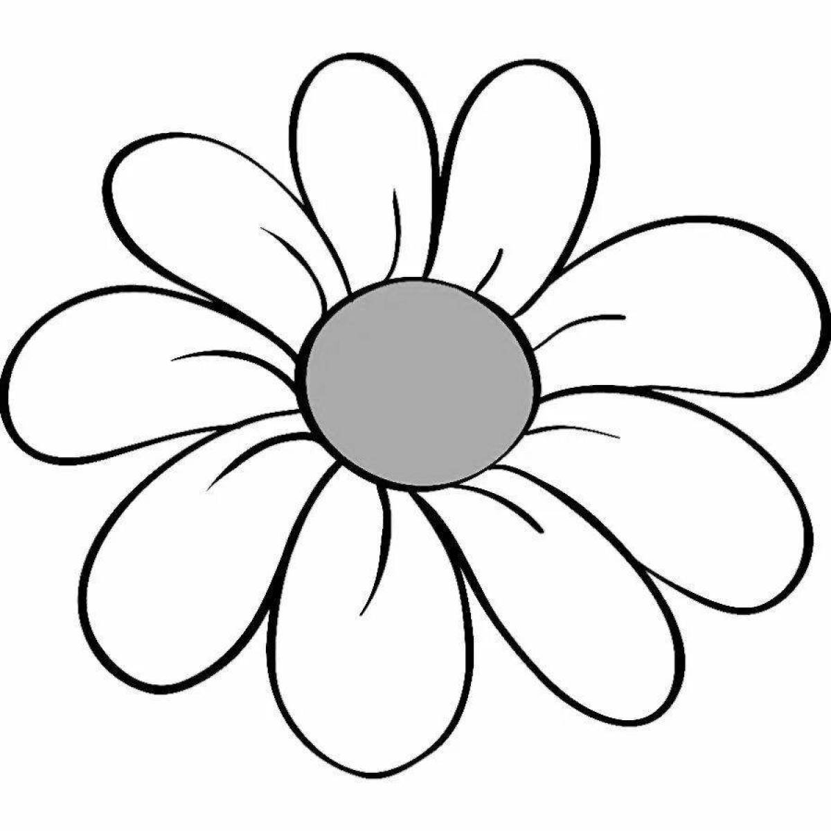 Coloring exquisite chamomile flower