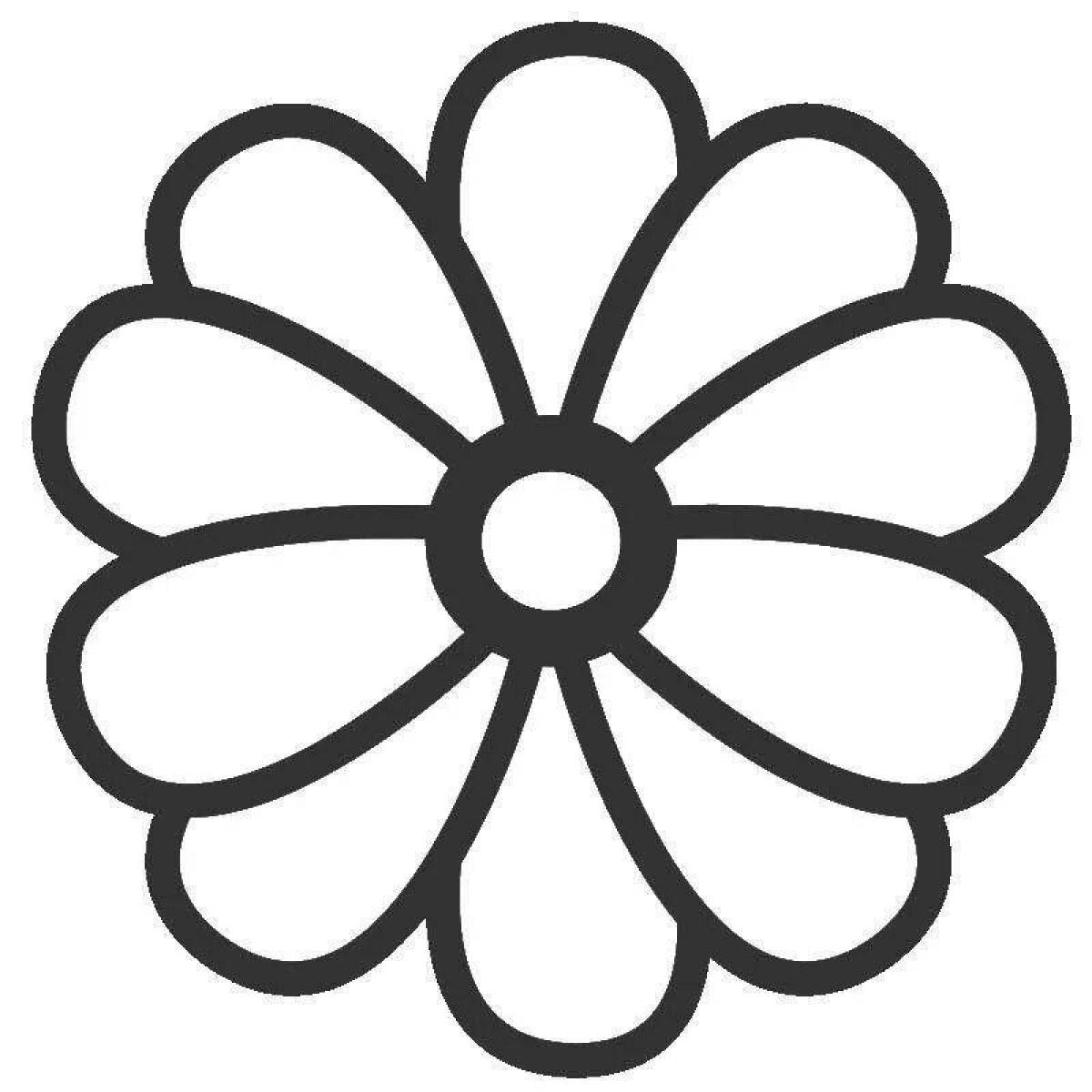 Coloring book inviting chamomile flower