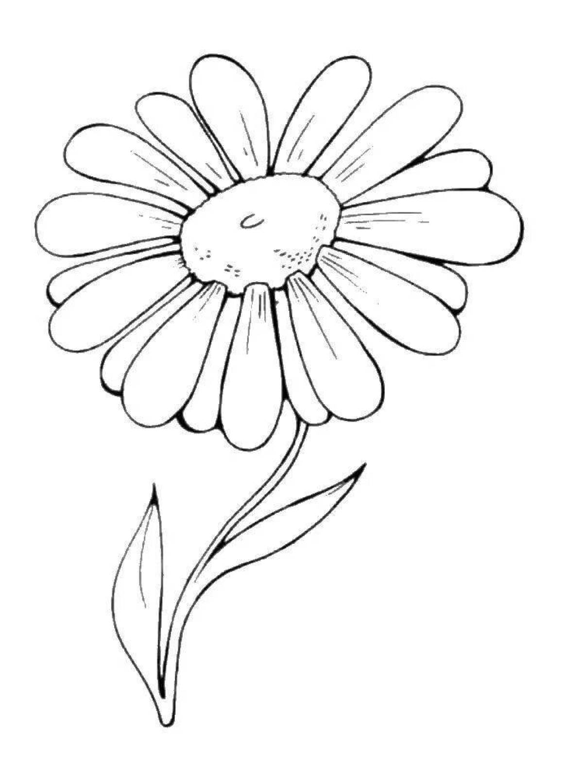 Coloring page magical chamomile flower
