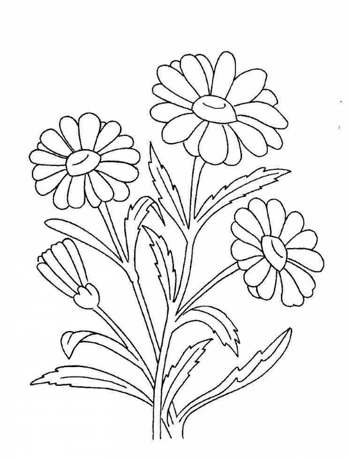Освежающая страница раскраски цветка ромашки