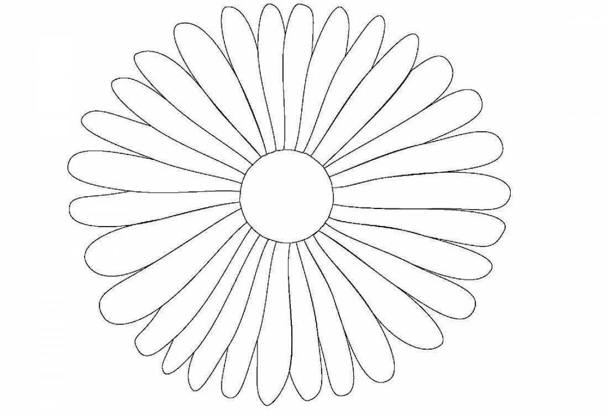 Invigorating chamomile flower coloring page