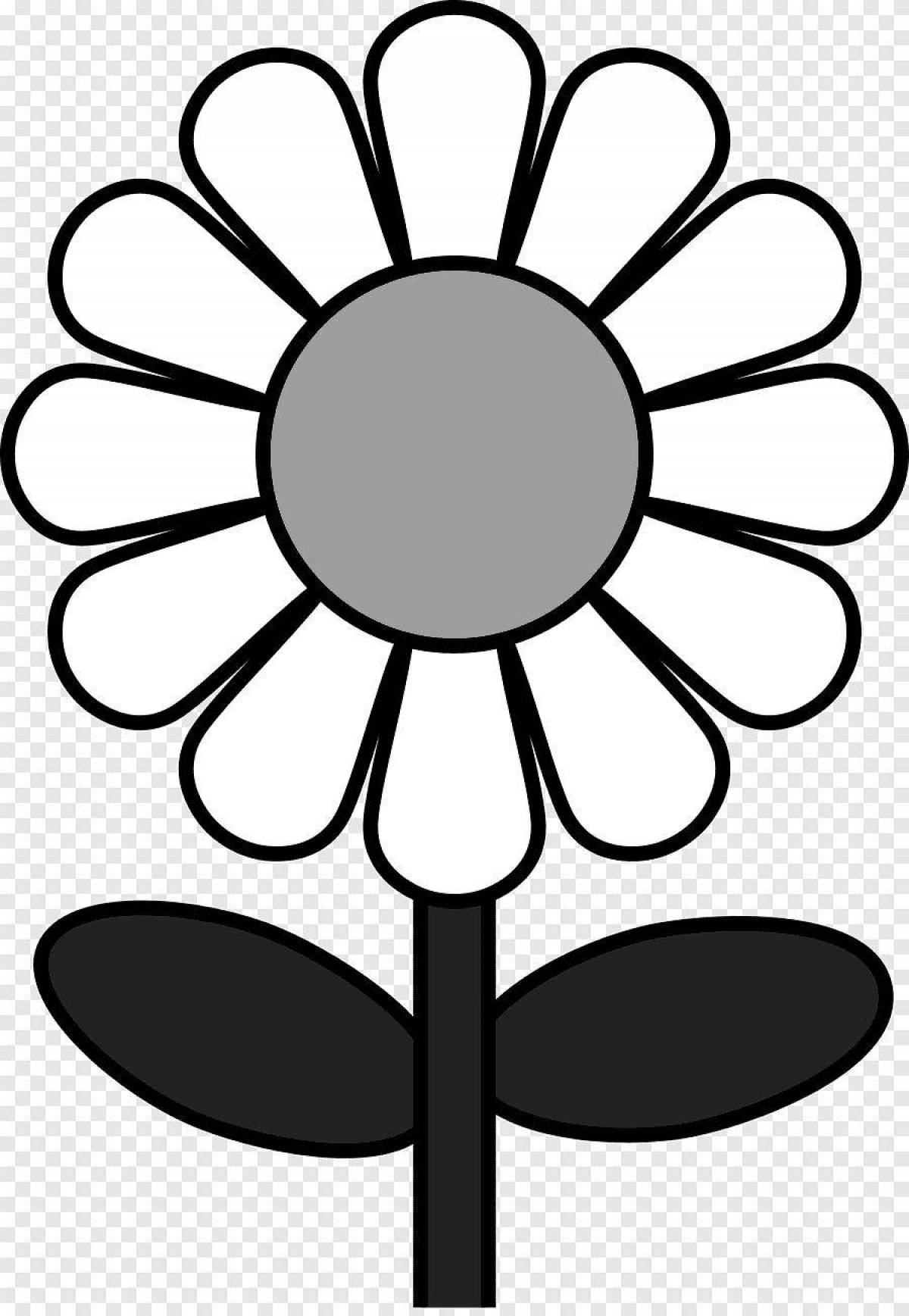 Coloring funny chamomile flower