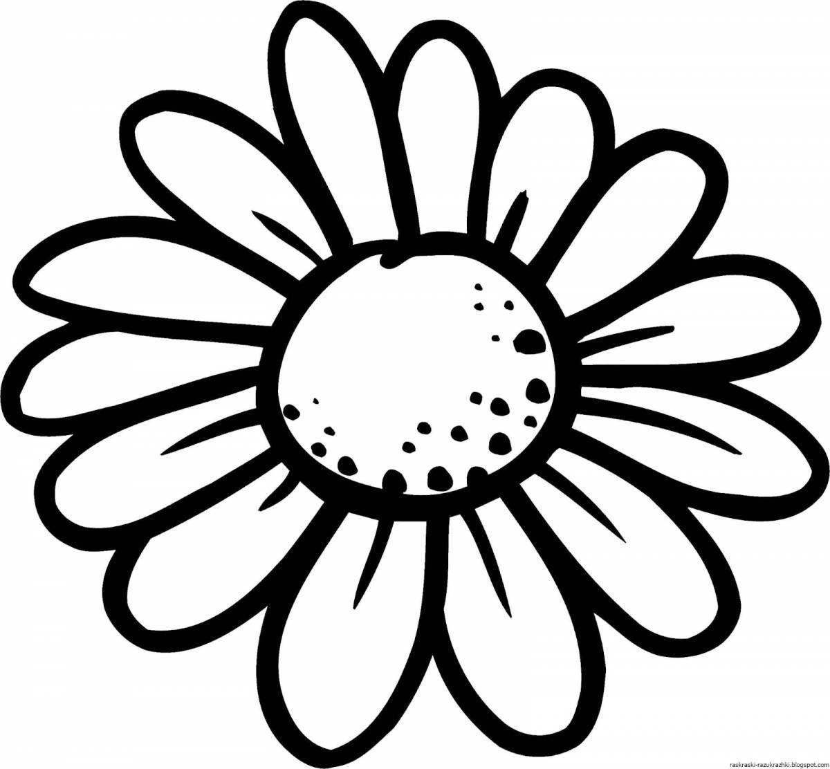 Coloring page festive chamomile flower
