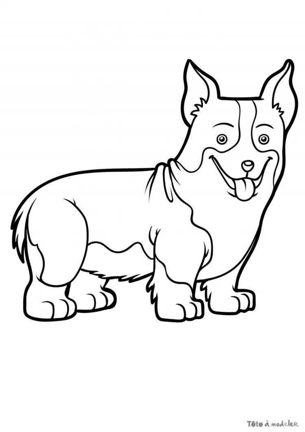 Royal corgi coloring page
