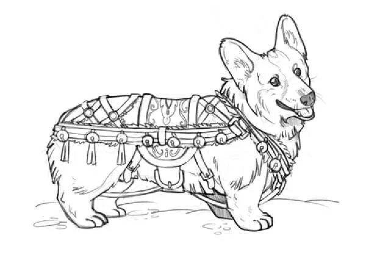 Royal corgi #1