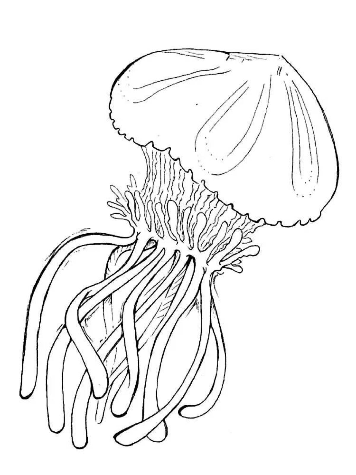 Медуза раскраска для детей