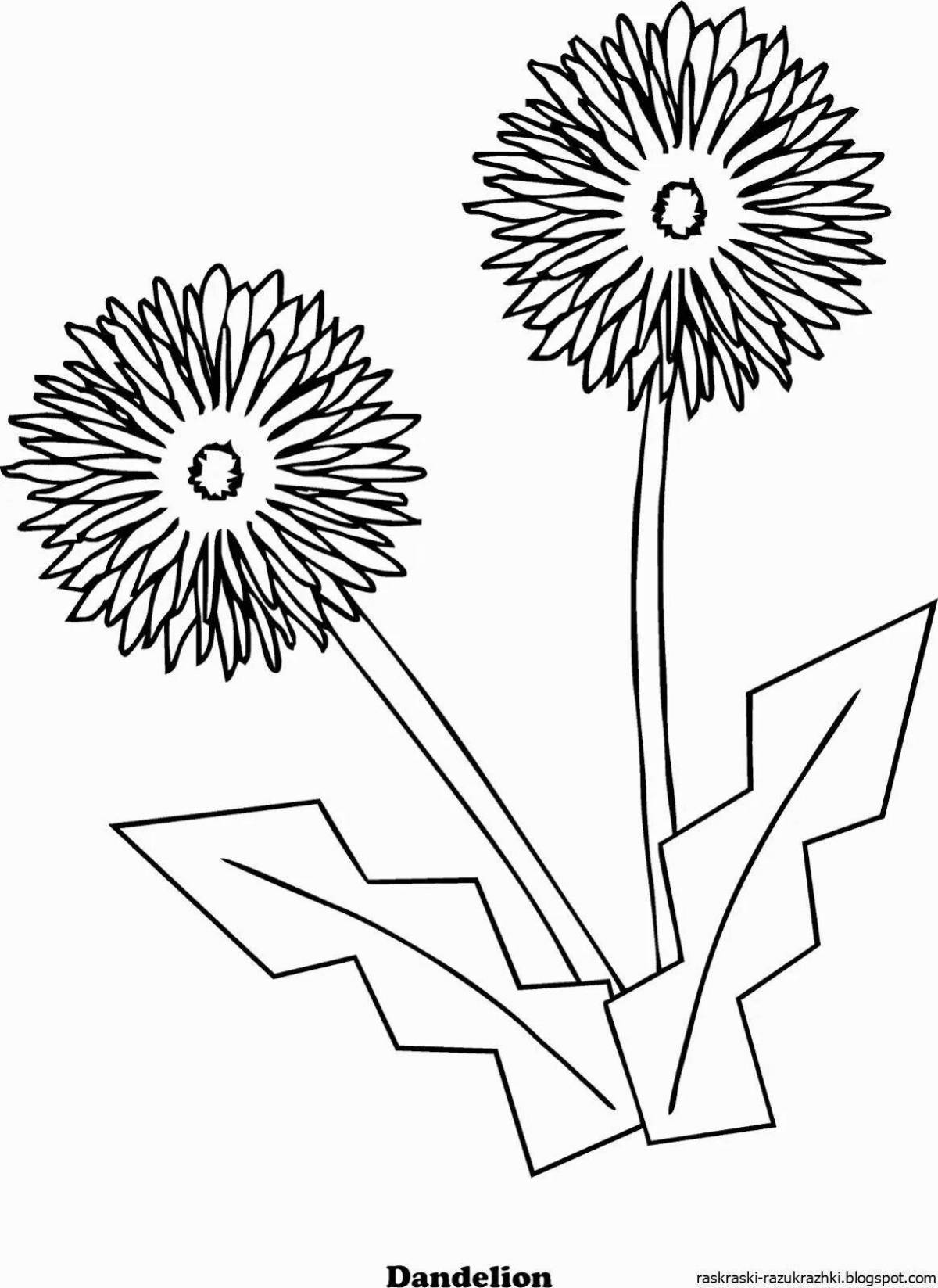Bright dandelion coloring for kids