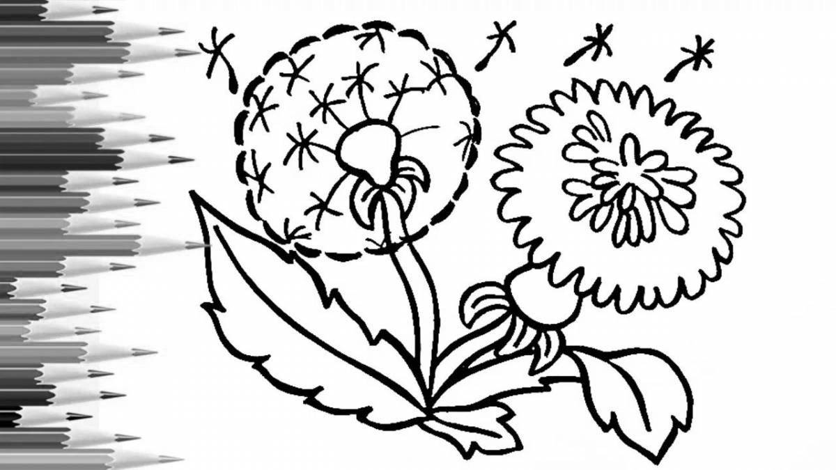 Shining dandelion coloring book for kids
