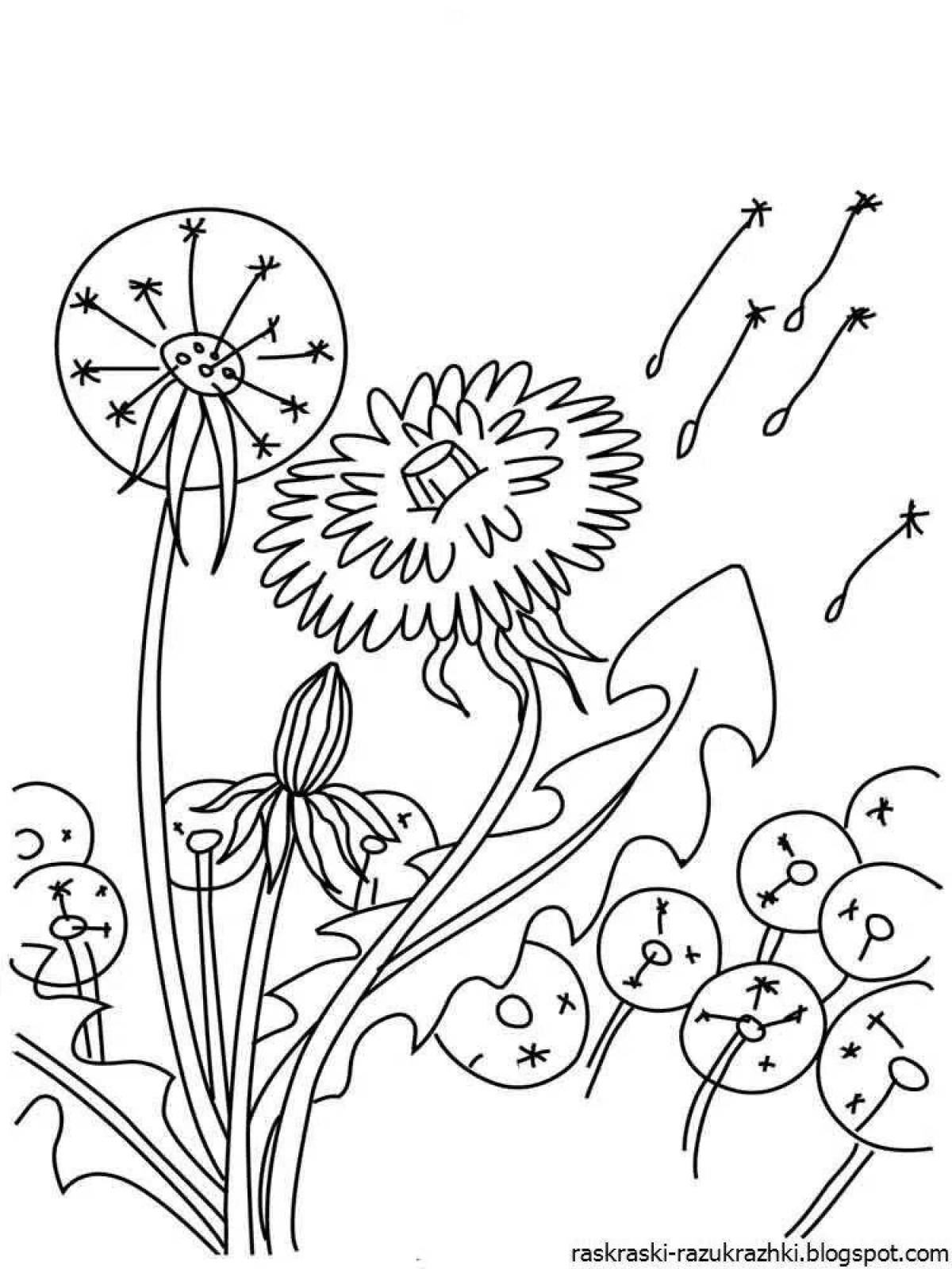 Sparkling dandelion coloring book for kids
