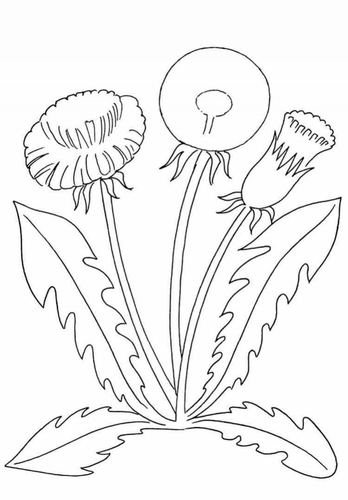 Cute dandelion coloring book for kids