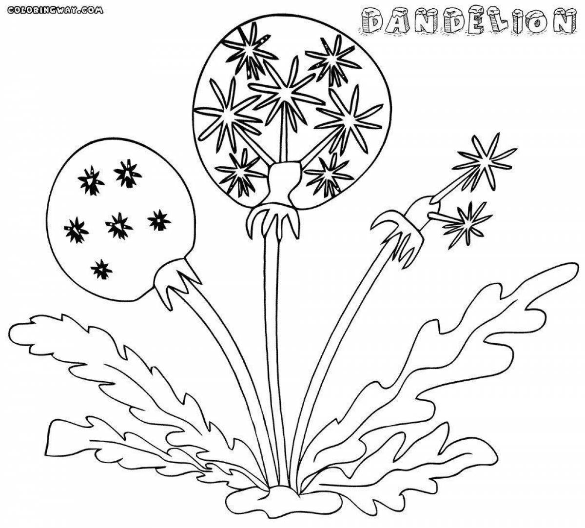 Cute dandelion coloring page for kids