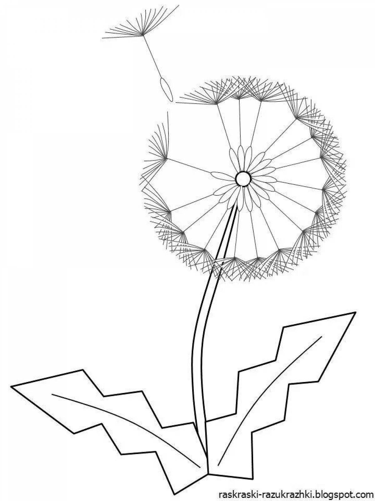 Live dandelion coloring page for kids