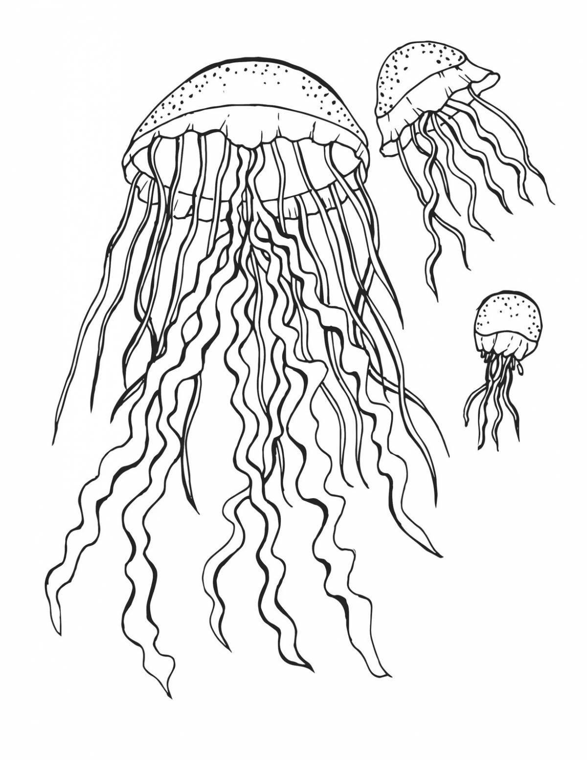 Glowing jellyfish coloring book for kids