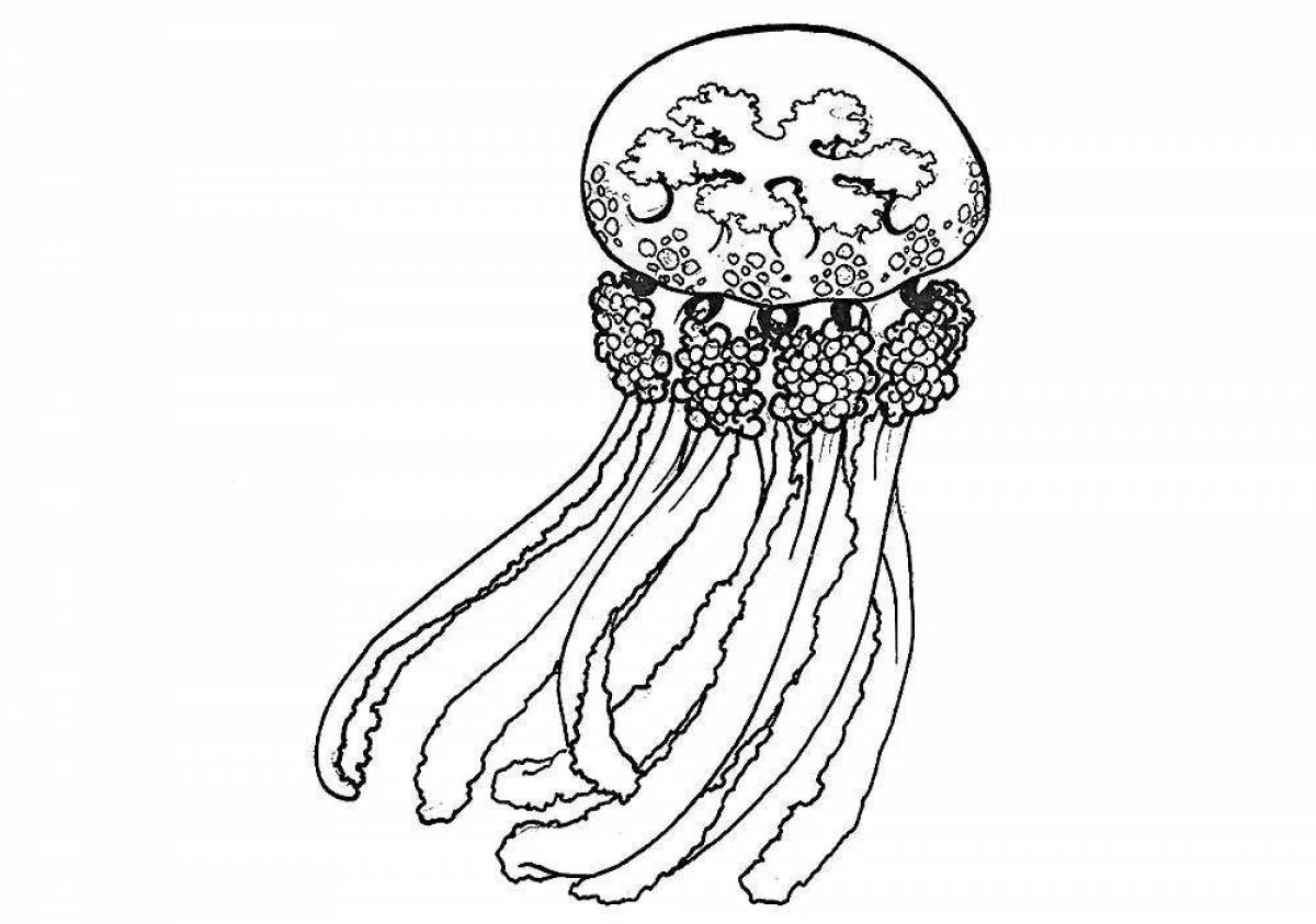 Photo Exquisite jellyfish coloring book for kids