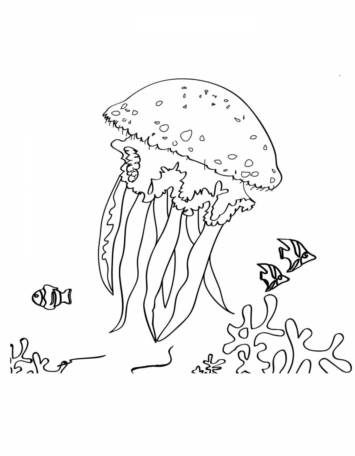 Living jellyfish coloring book for kids