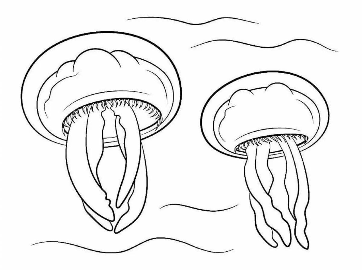 Медуза рисунок детский рисунок (55 фото)