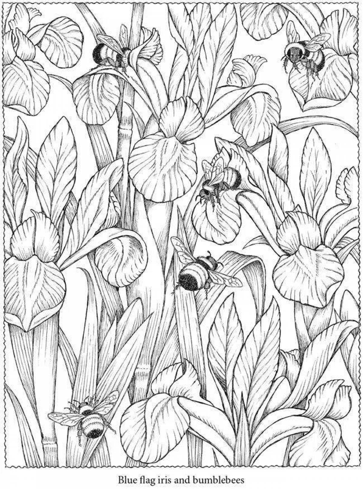 Radiant coloring page adult 18 nature