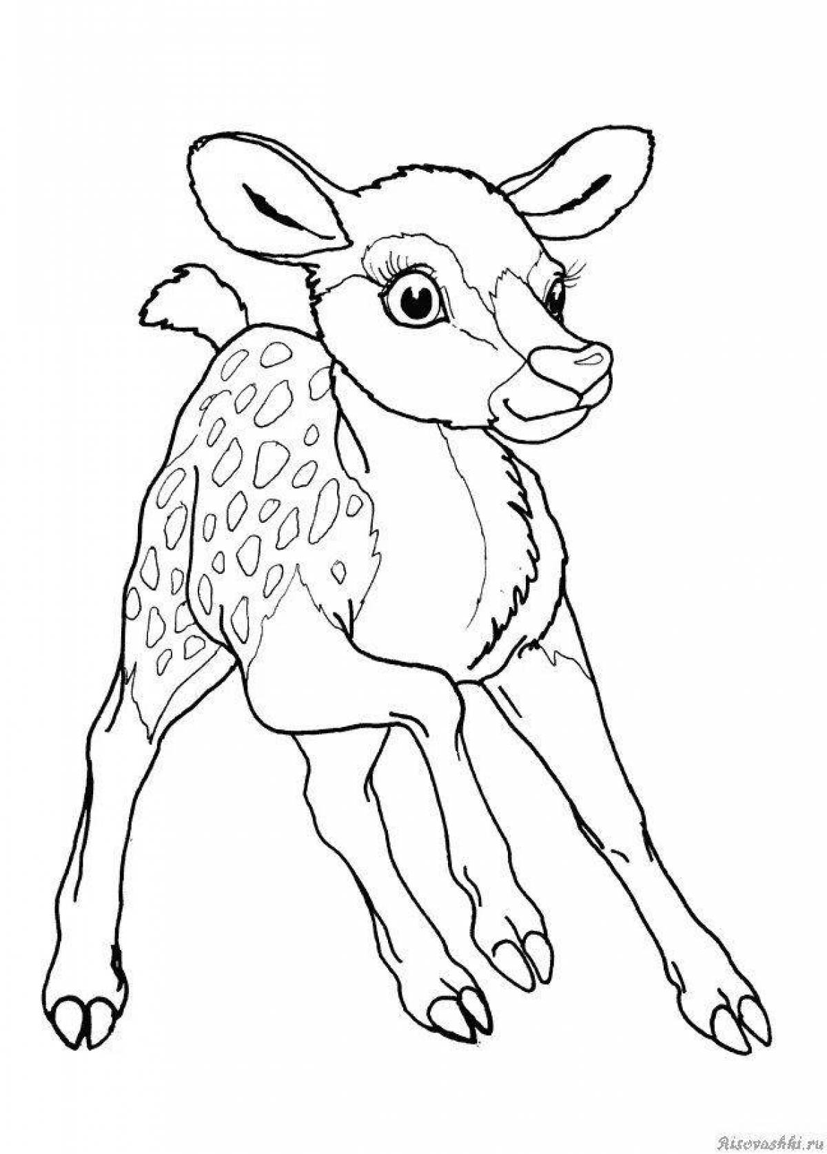 Animated hutao coloring book