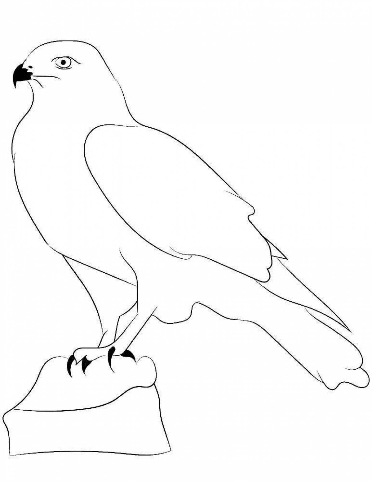 Glittering falcon coloring page