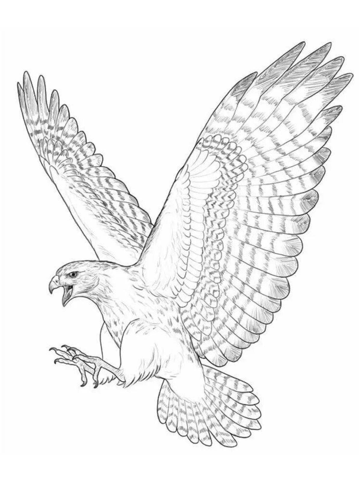 Coloring book beckoning falcon