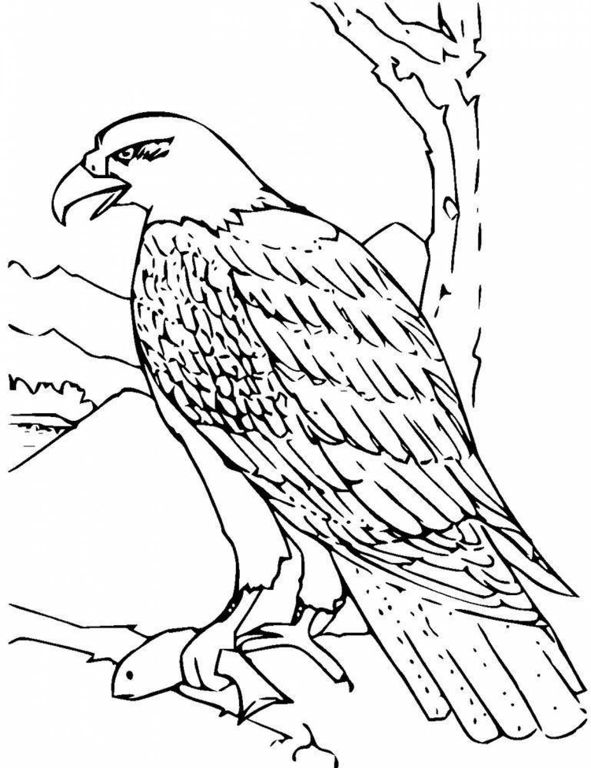Attractive Falcon Coloring Page