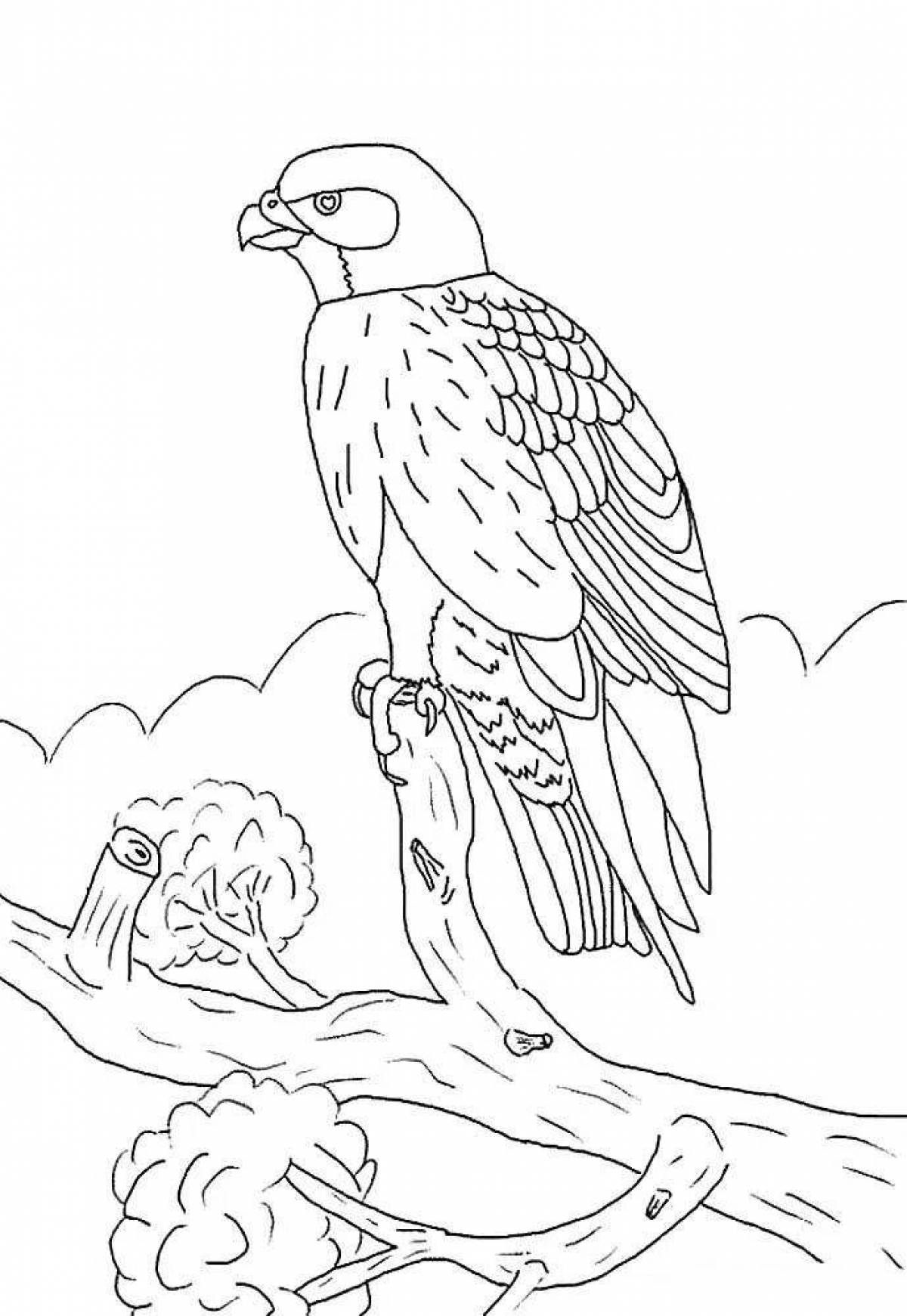 Coloring page playful falcon
