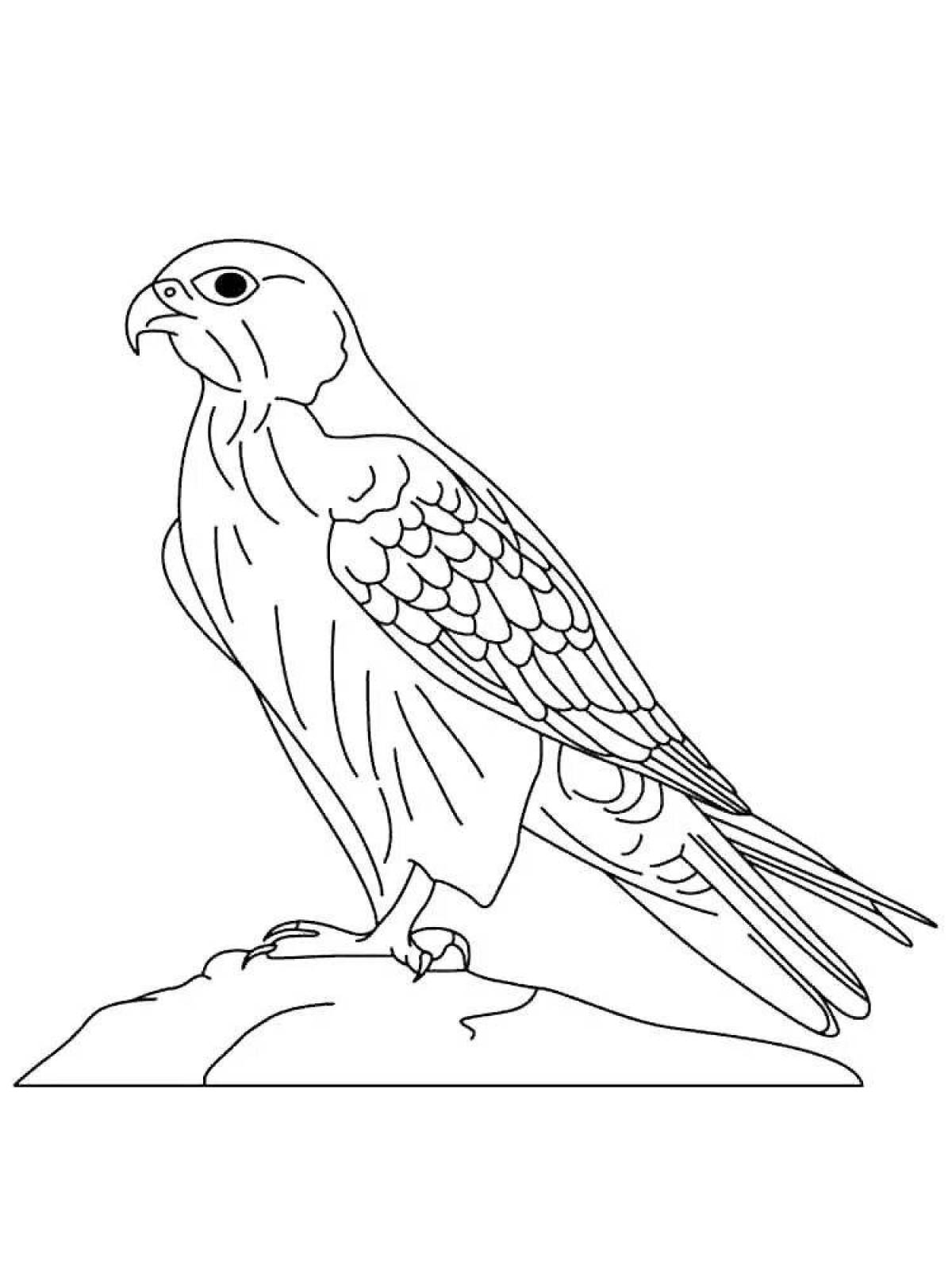 Coloring live falcon