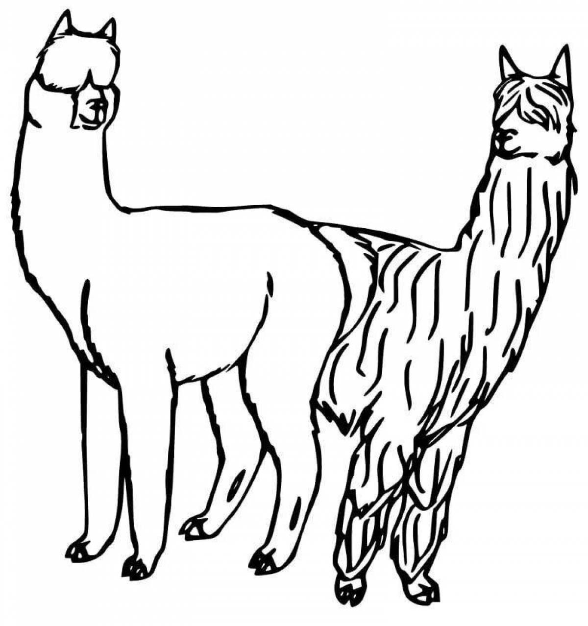 Charming alpaca coloring book